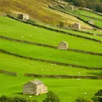 Bed & Breakfast From In Linton (North Yorkshire)