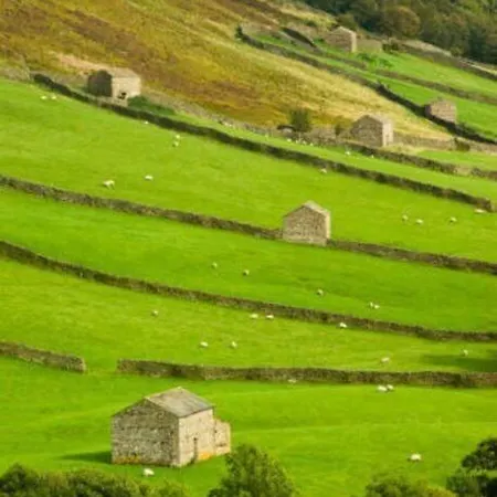 Bed & Breakfast From In Linton (North Yorkshire)